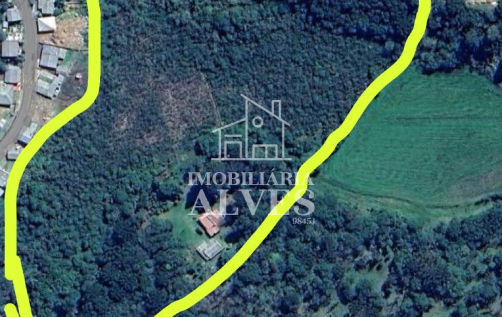 WhatsApp Image 2025-07-24 at 15.23.53