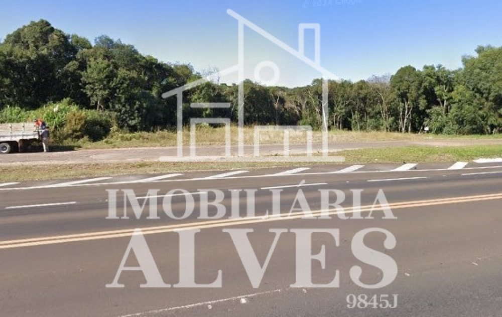 WhatsApp Image 2025-07-24 at 15.27.02