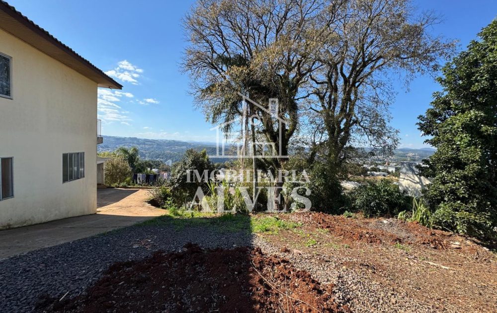 WhatsApp Image 2025-08-01 at 15.51.44 (1)