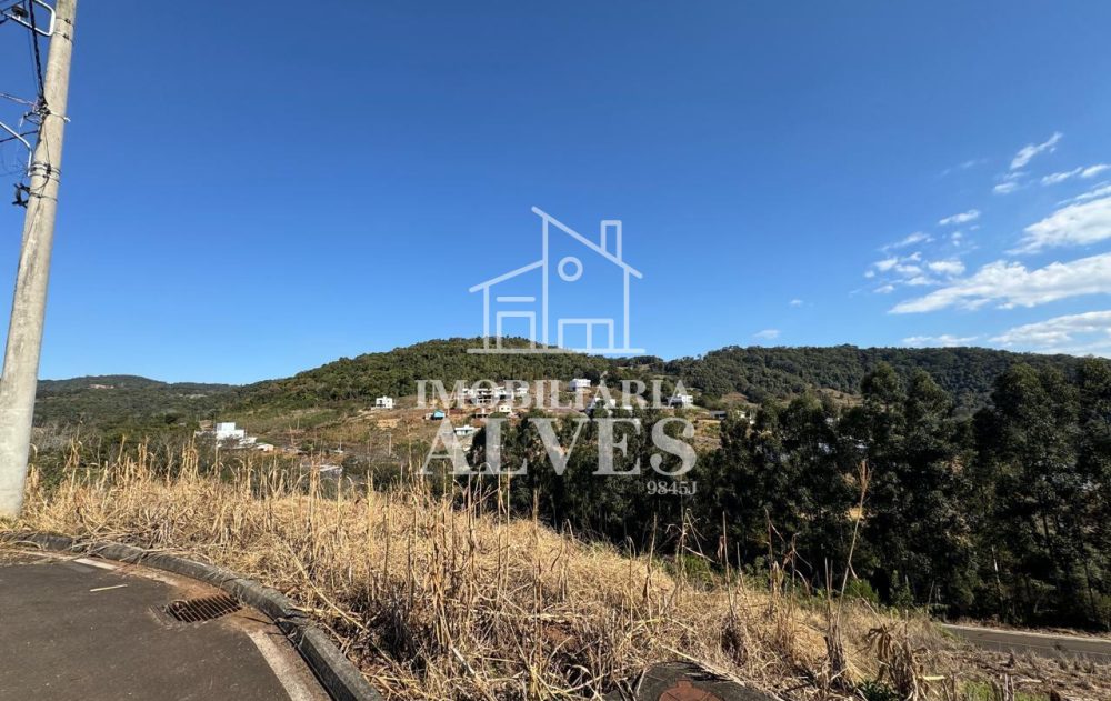 WhatsApp Image 2025-08-01 at 15.51.44 (10)