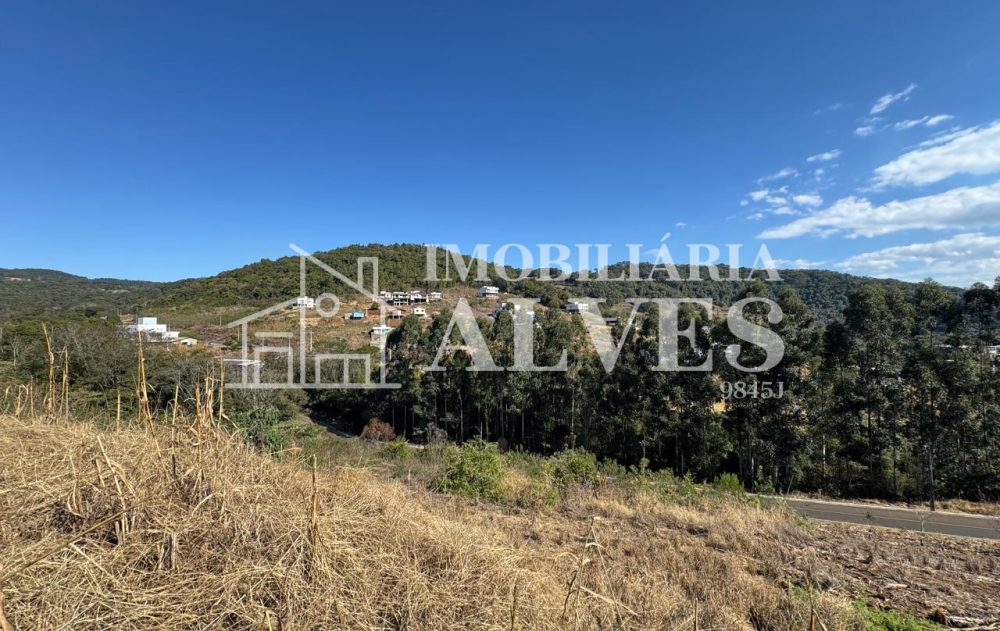 WhatsApp Image 2025-08-01 at 15.51.44 (11)