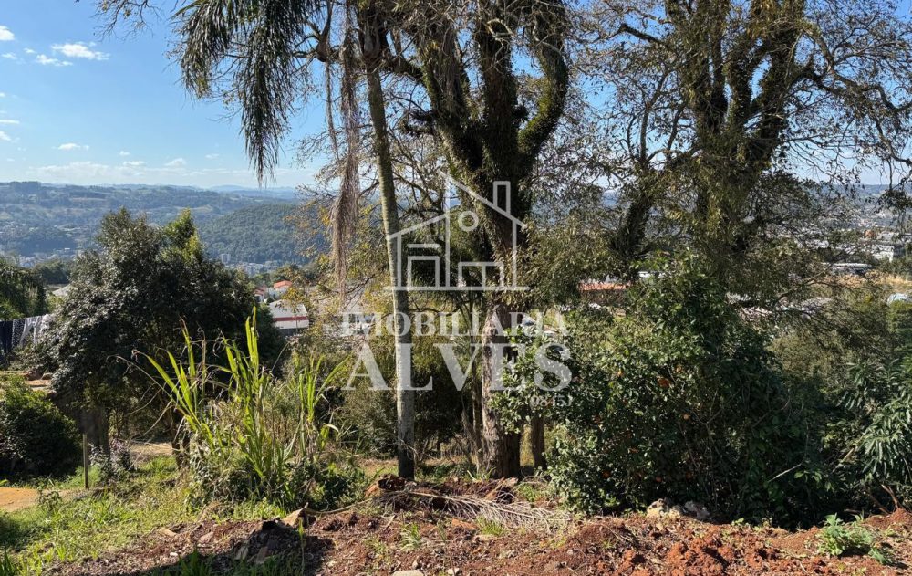 WhatsApp Image 2025-08-01 at 15.51.44 (2)