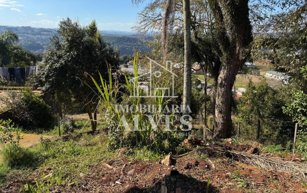 WhatsApp Image 2025-08-01 at 15.51.44 (3)