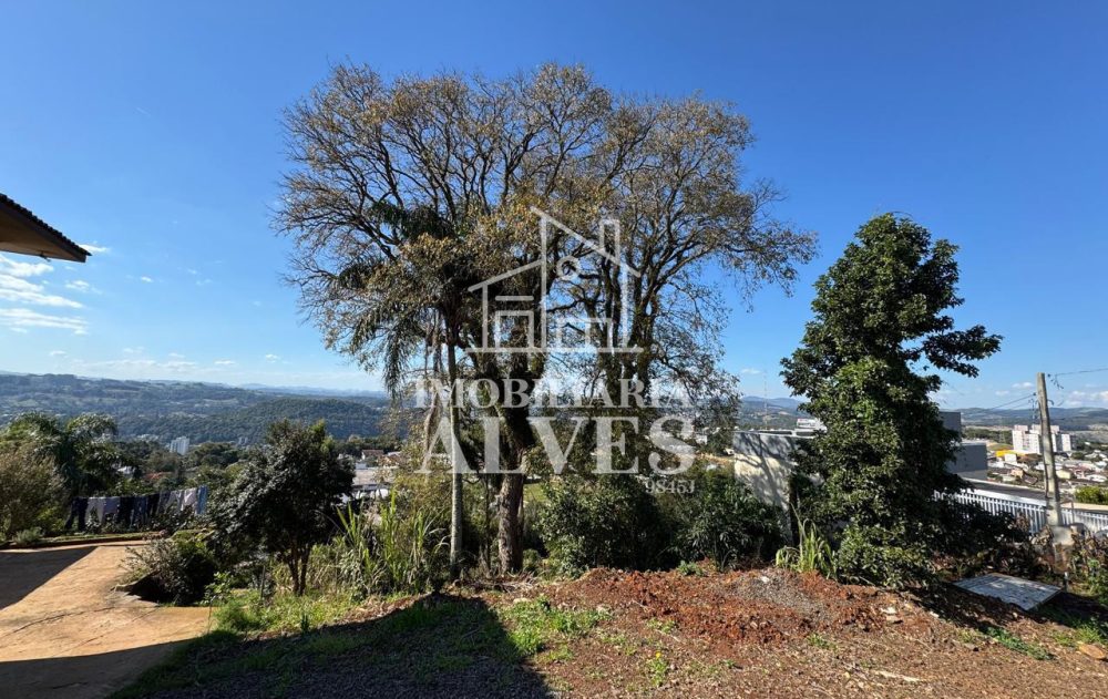 WhatsApp Image 2025-08-01 at 15.51.44 (5)