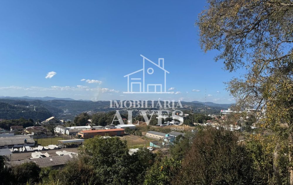 WhatsApp Image 2025-08-01 at 15.51.44 (6)