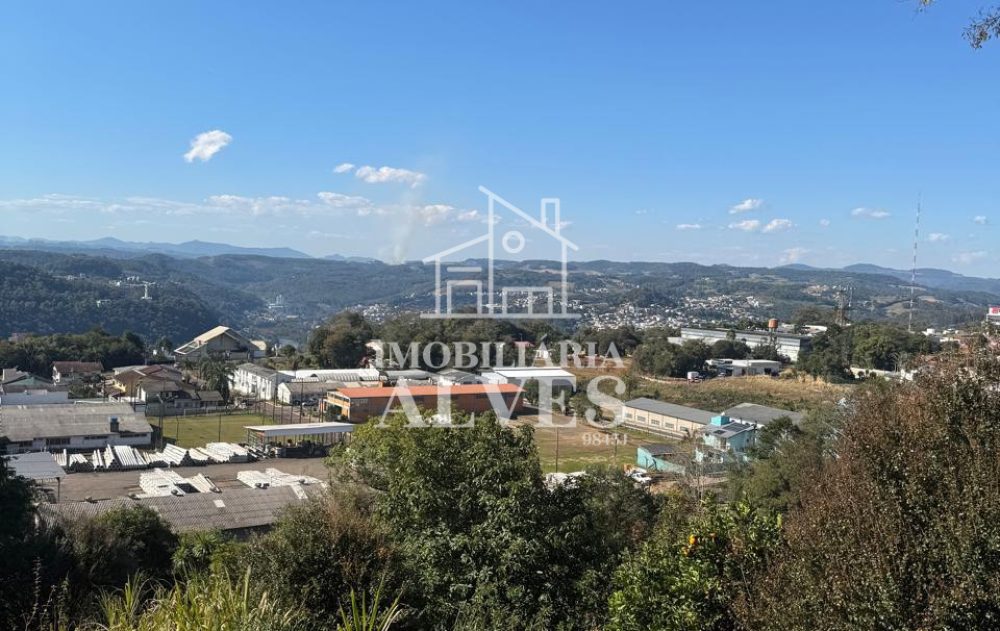 WhatsApp Image 2025-08-01 at 15.51.44 (7)