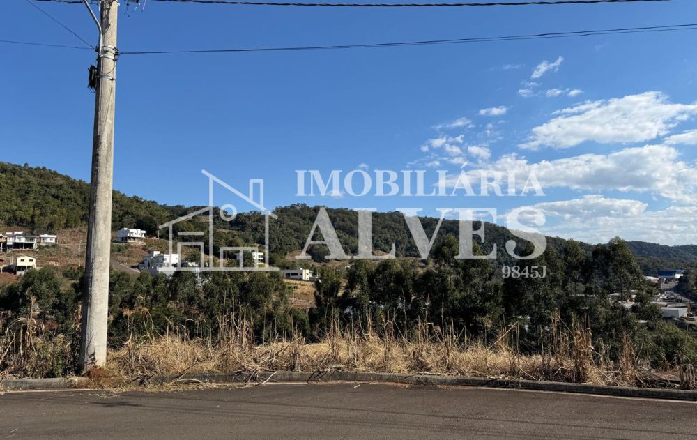 WhatsApp Image 2025-08-01 at 15.51.44 (8)