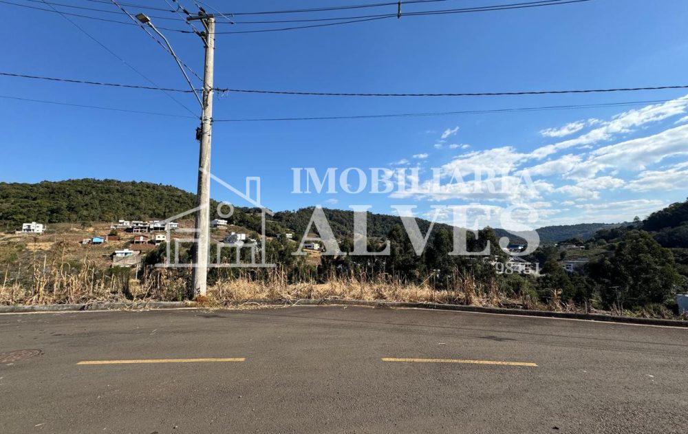 WhatsApp Image 2025-08-01 at 15.51.44 (9)