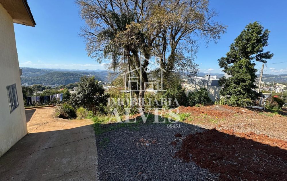 WhatsApp Image 2025-08-01 at 15.51.44