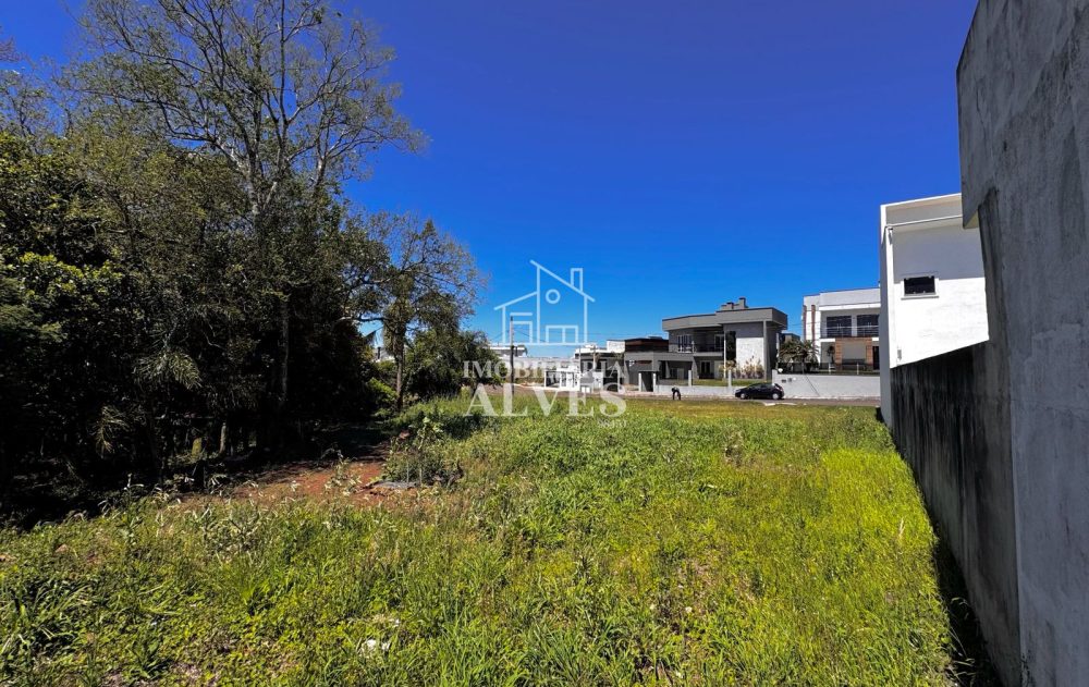 WhatsApp Image 2026-01-21 at 08.48.49 (1)