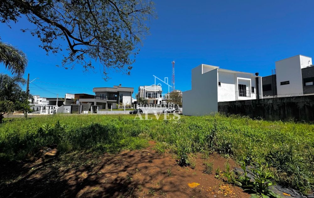 WhatsApp Image 2026-01-21 at 08.48.49