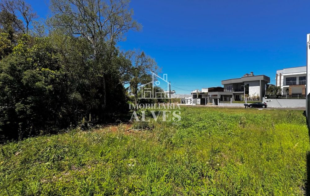 WhatsApp Image 2026-01-21 at 08.48.50 (1)