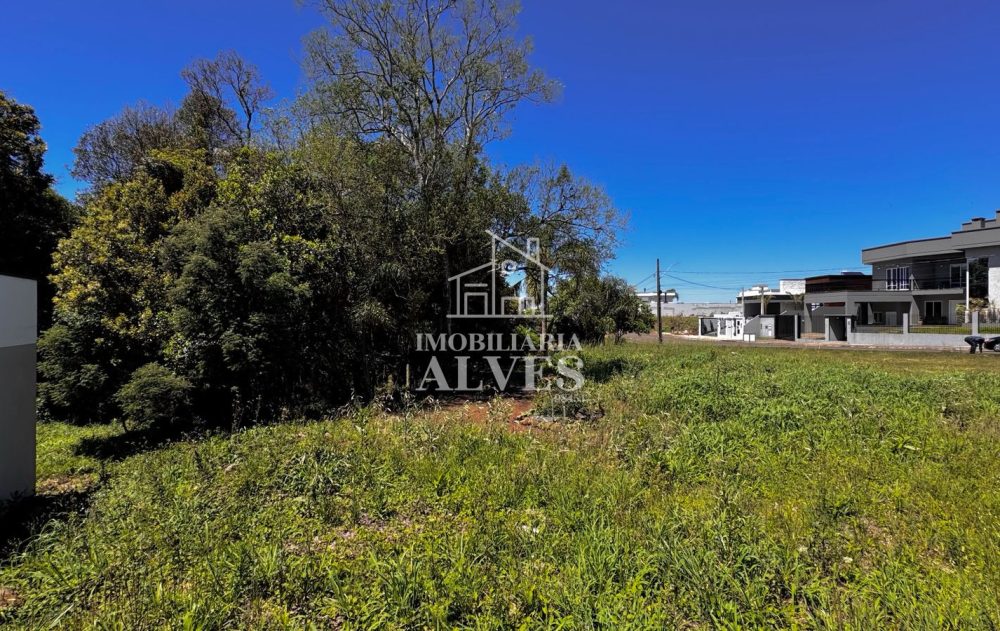 WhatsApp Image 2026-01-21 at 08.48.50 (2)