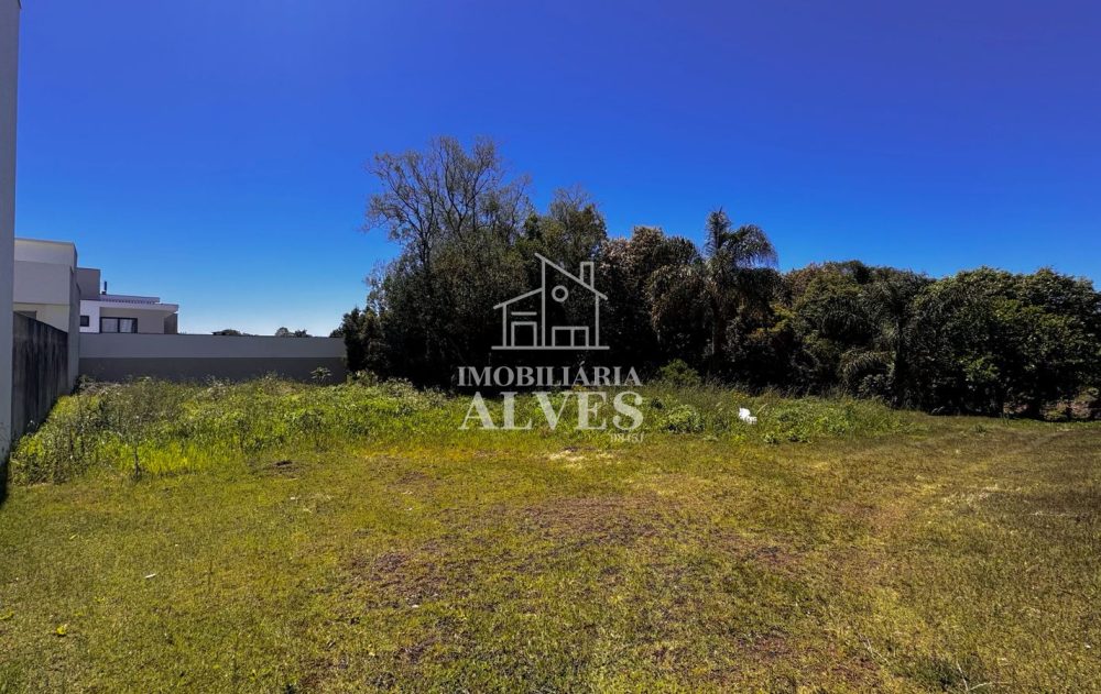 WhatsApp Image 2026-01-21 at 08.48.50 (3)