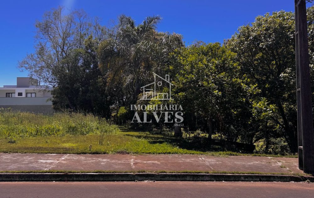 WhatsApp Image 2026-01-21 at 08.48.51 (1)