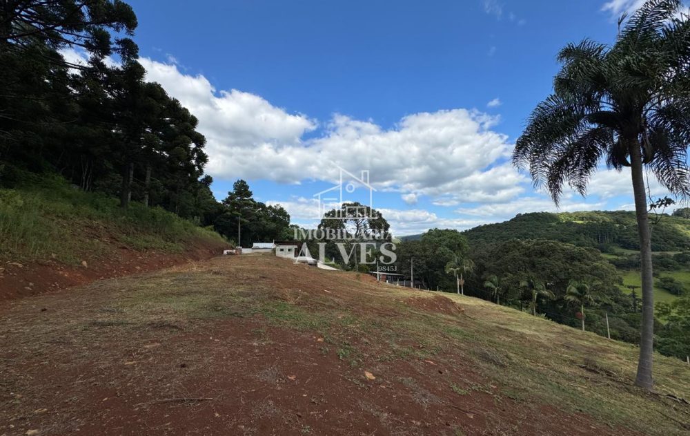 WhatsApp Image 2026-02-17 at 16.21.25 (1)