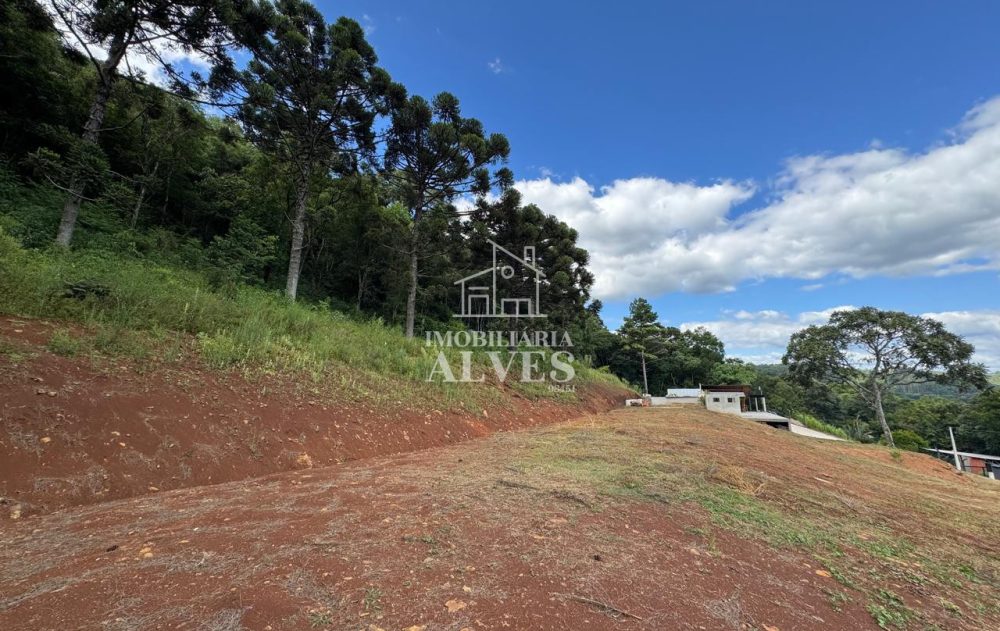 WhatsApp Image 2026-02-17 at 16.21.25 (2)