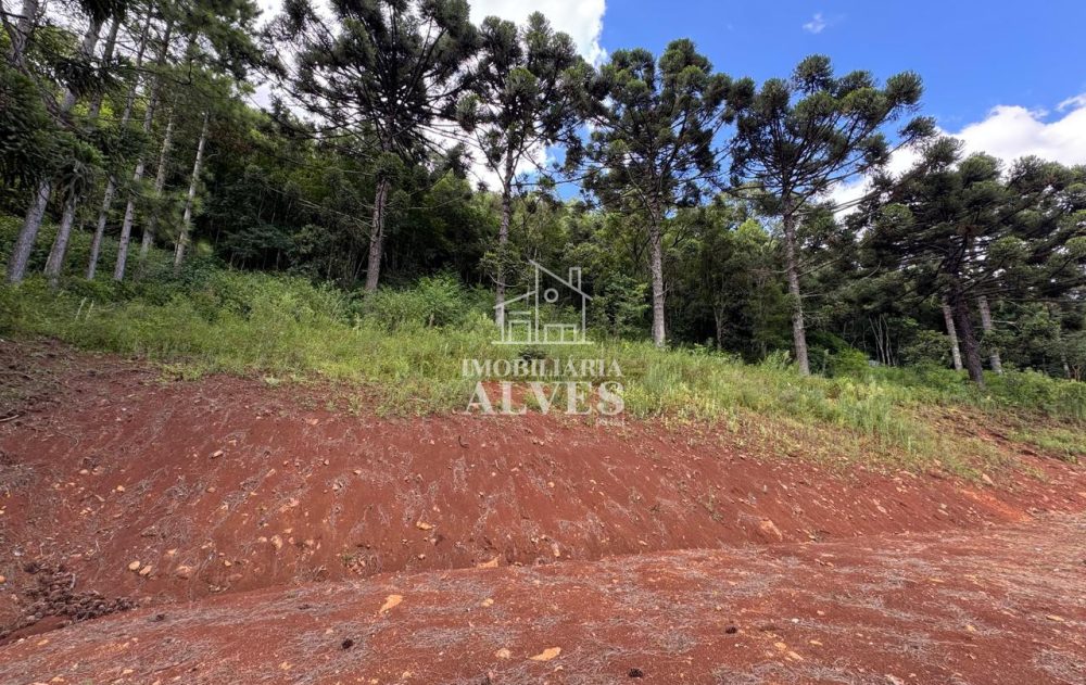 WhatsApp Image 2026-02-17 at 16.21.25 (3)