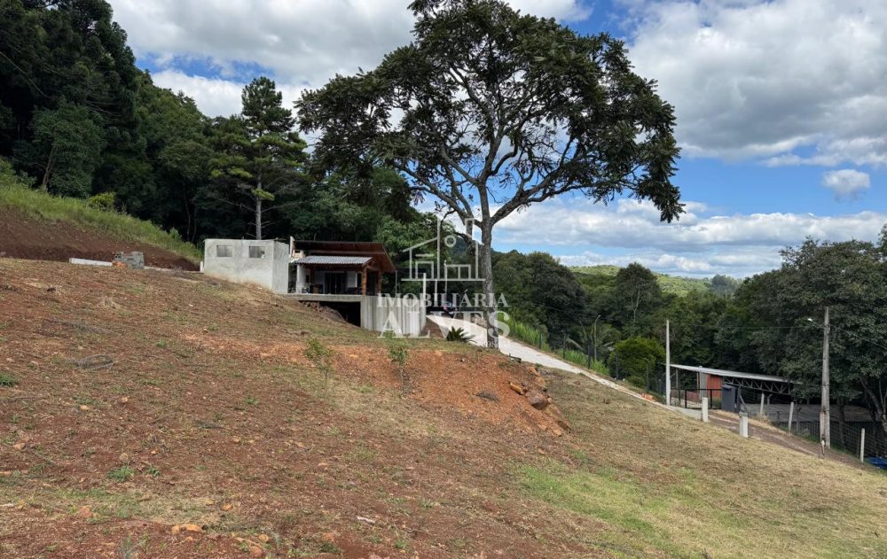 WhatsApp Image 2026-02-17 at 16.21.25 (4)