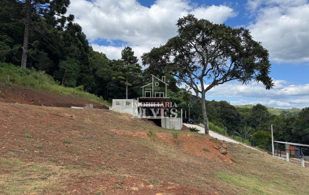 WhatsApp Image 2026-02-17 at 16.21.25 (6)