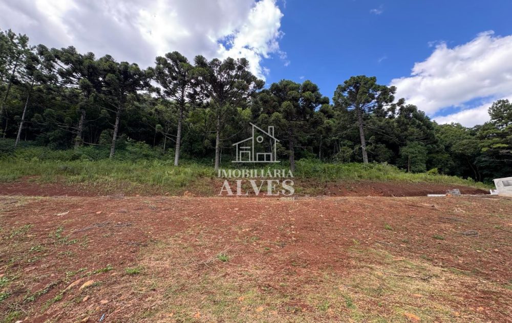 WhatsApp Image 2026-02-17 at 16.21.25 (7)