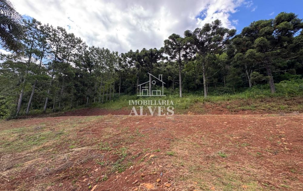 WhatsApp Image 2026-02-17 at 16.21.25 (8)