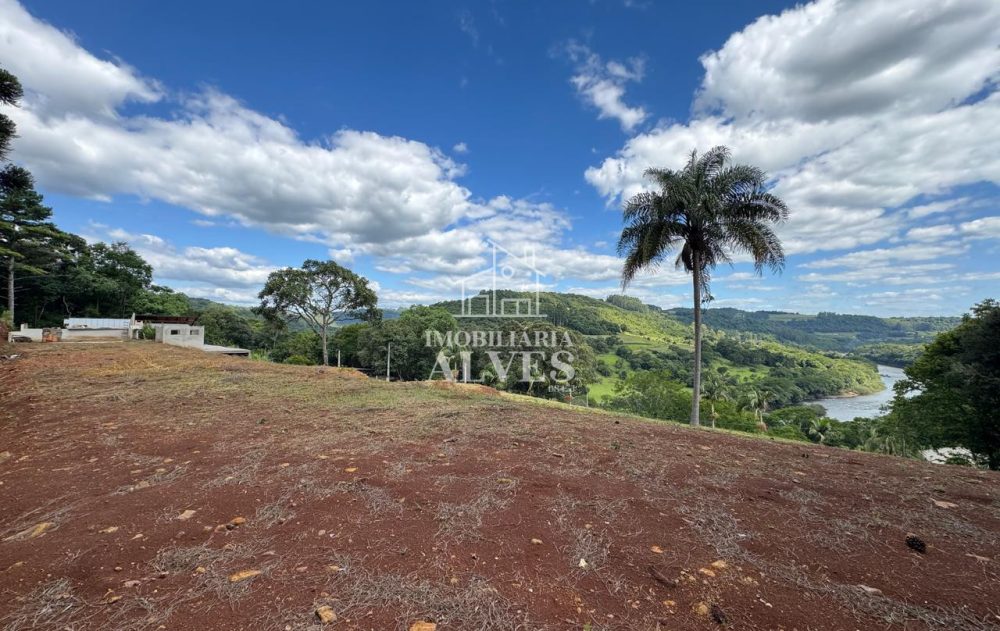 WhatsApp Image 2026-02-17 at 16.21.25